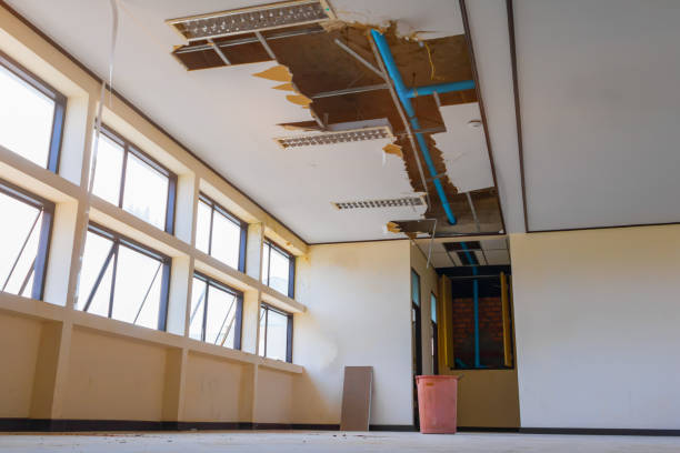 Best Water damage repair service  in Maywood, CA