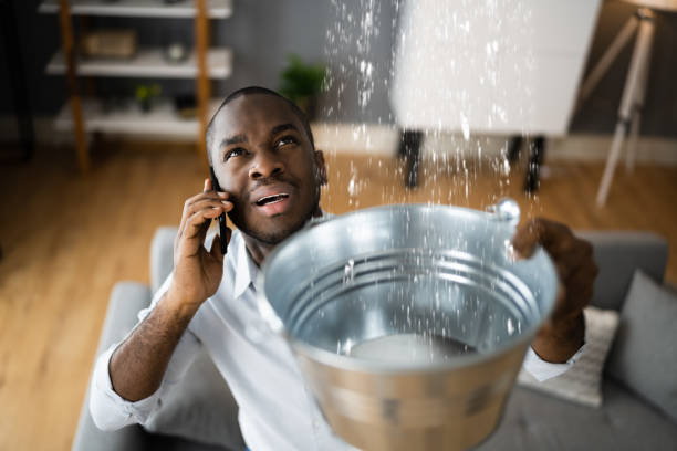 Best Water damage restoration near me  in Maywood, CA