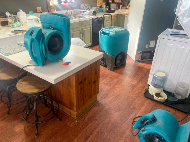 Best Ceiling water damage repair  in Maywood, CA