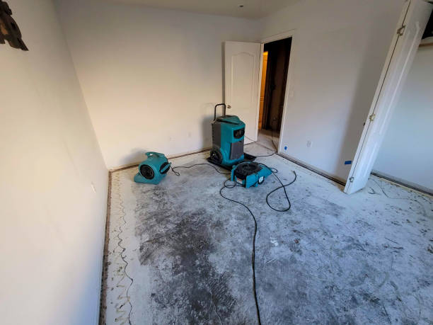 Best 24-hour water damage restoration  in Maywood, CA