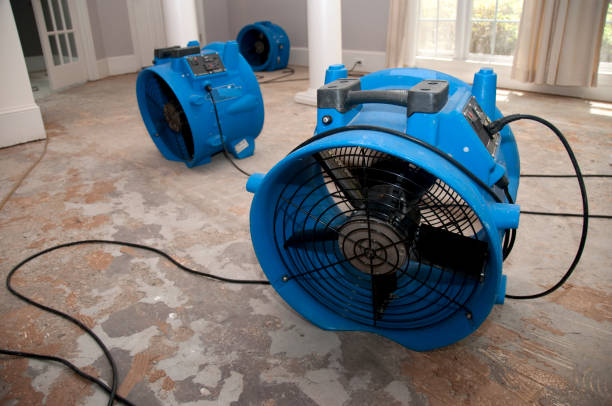 Best Professional water damage repair  in Maywood, CA