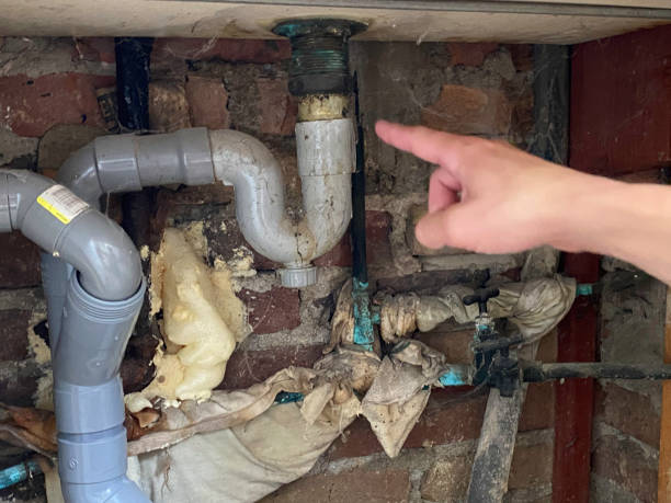 Best Flooded house restoration  in Maywood, CA