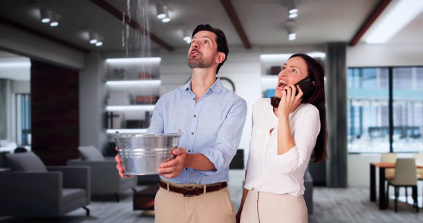 Best Local water damage restoration  in Maywood, CA